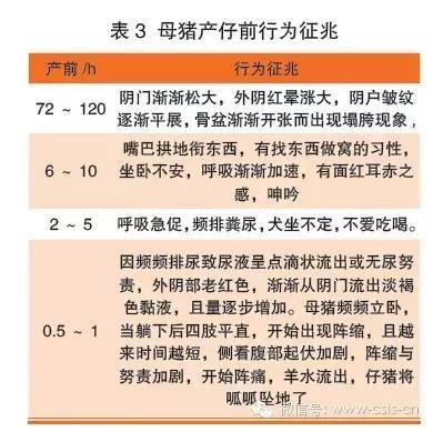 芭乐app官方网站地址进入