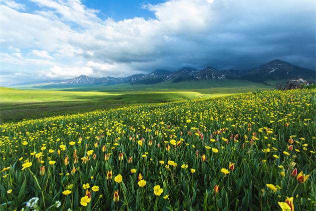 乐萌宝 联系方式 乐萌产品建议/投诉：同样