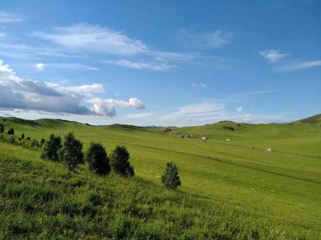 男插女阴道视频