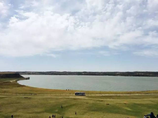 绿帽社官方入口 内容按主题标签分类