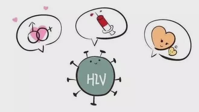 男同志电影 志电已成为现象级作品