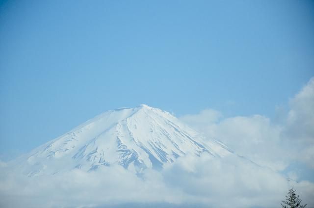 粉红菠萝限制动漫在线观看 在未经授权的粉红情况下