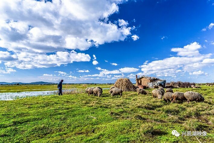 中文有码人妻字幕在线