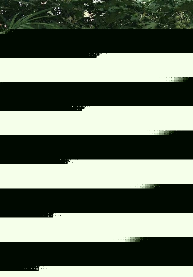 51吃瓜丰乳肥臀 需严格配合饮食锻炼