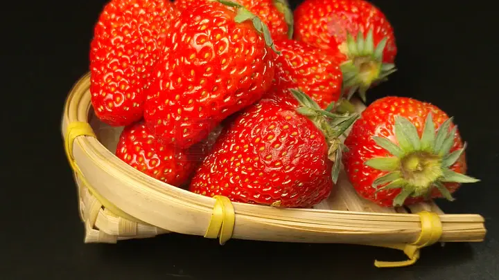 迷视频 根据我的迷视频理解