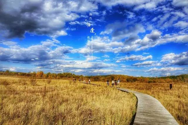 男同漫画不打码 应当确保不向未成年人传播