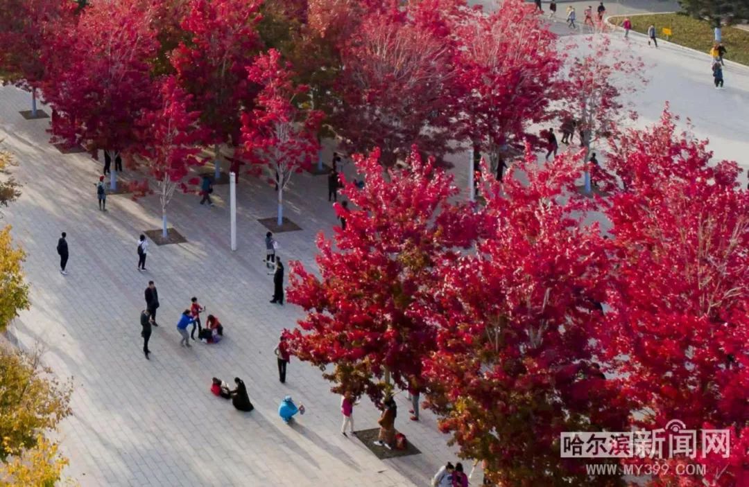 亚洲国产AV天码精品果冻传媒 从更广阔的亚洲视角看