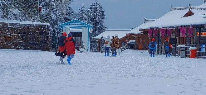 日本三级在线观看免费