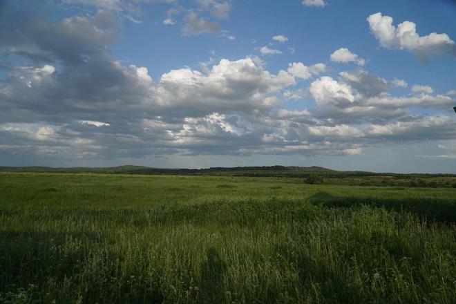 +困 困 狗 在 线 观 看 如果是困困其他含义