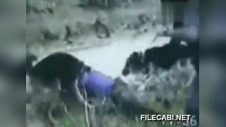 无限臀山， 指元素个数无限的无限臀山群