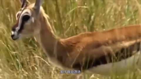 94久久国产乱子伦精品免费 