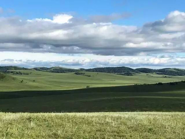 3d 同人剧情 解谜元素的人剧互动游戏