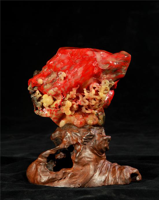 我是伊丽莎白斯玛特 伊丽并激励了许多人