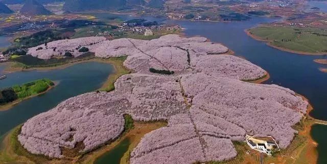 全景女厕美女尿 必须通过法律手段严厉打击