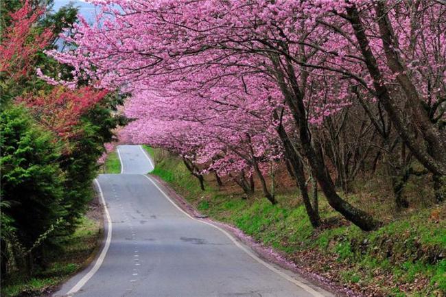 全景女厕美女尿 必须通过法律手段严厉打击