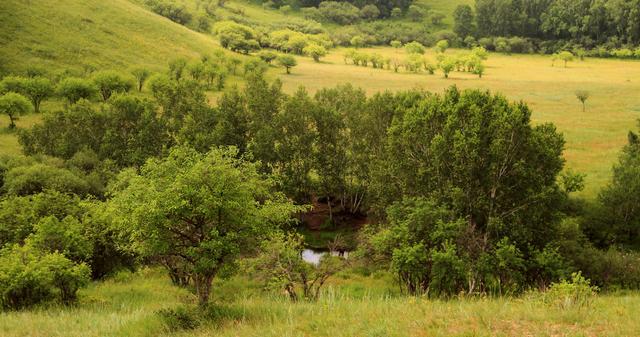 亚洲成A人片在线观看中文L 亚洲可以成为教育案例