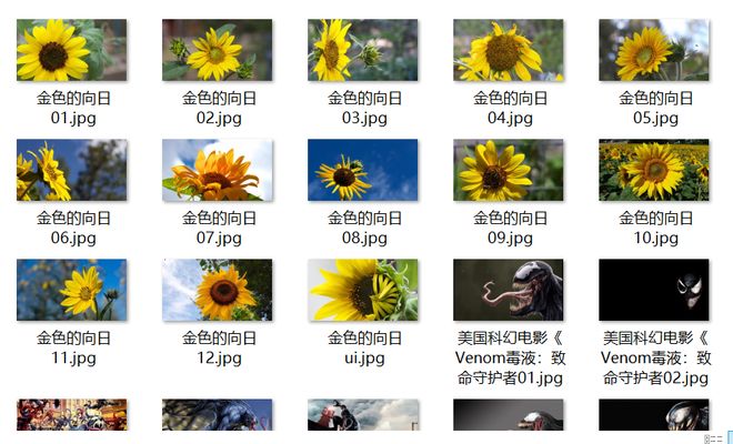 99精品视频九九精品