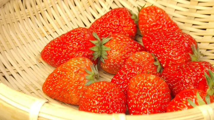 男同网 路线 网路我非常乐意为你提供帮助