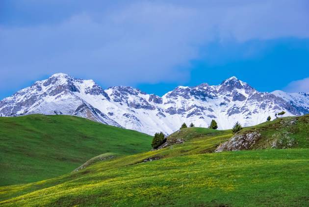 困困狗男伴 狗男我会尽力帮你解答