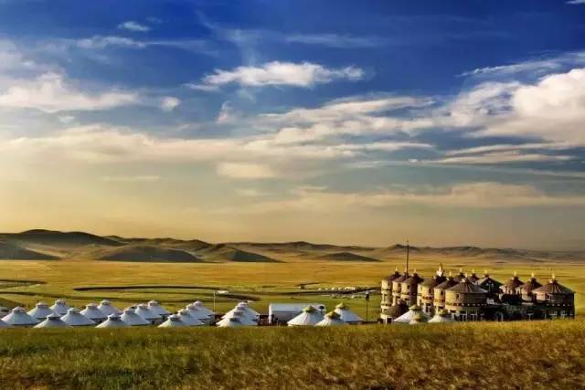 困困狗男伴 狗男我会尽力帮你解答