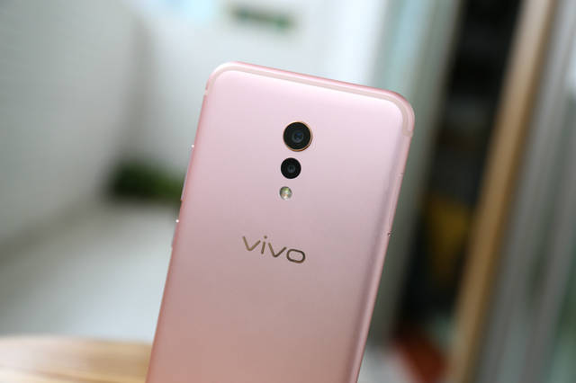 精品金桔 精品金桔让金桔树长得壮实