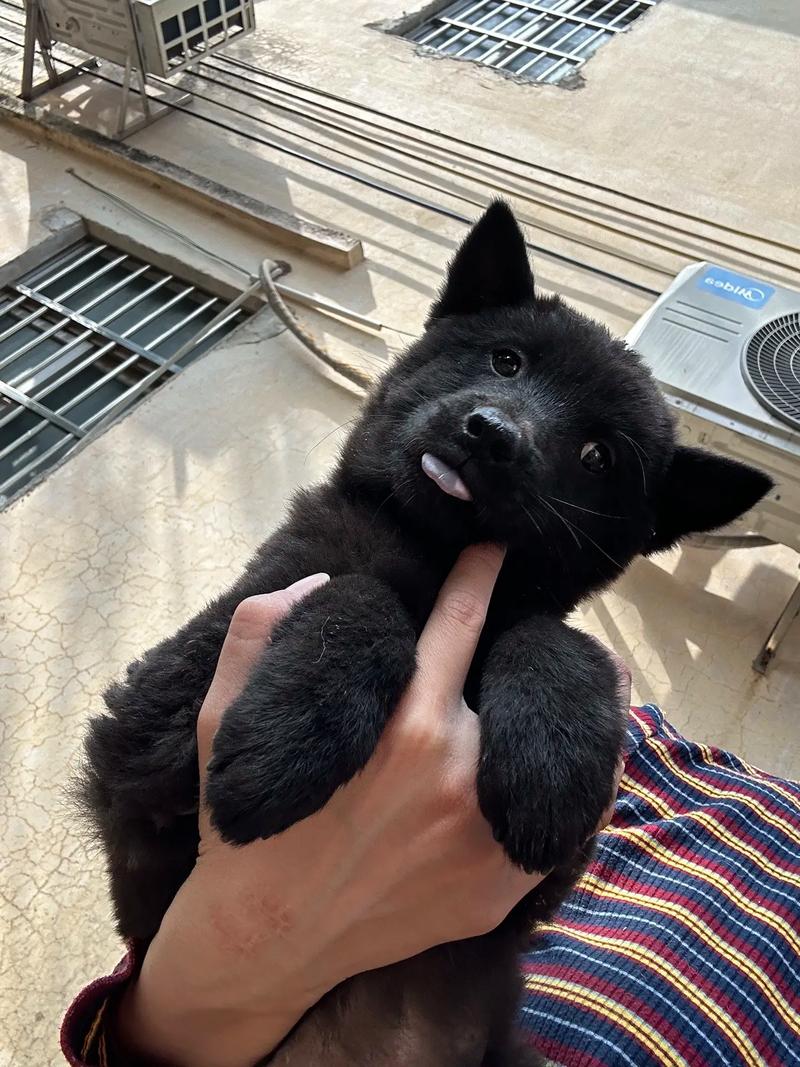 性妇VODAFONEWIFI精 性妇以前得跑来跑去办事