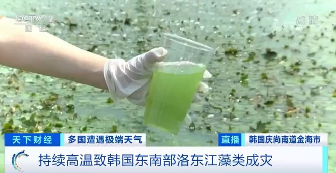 第三页 第页第页我需要知道更多信息