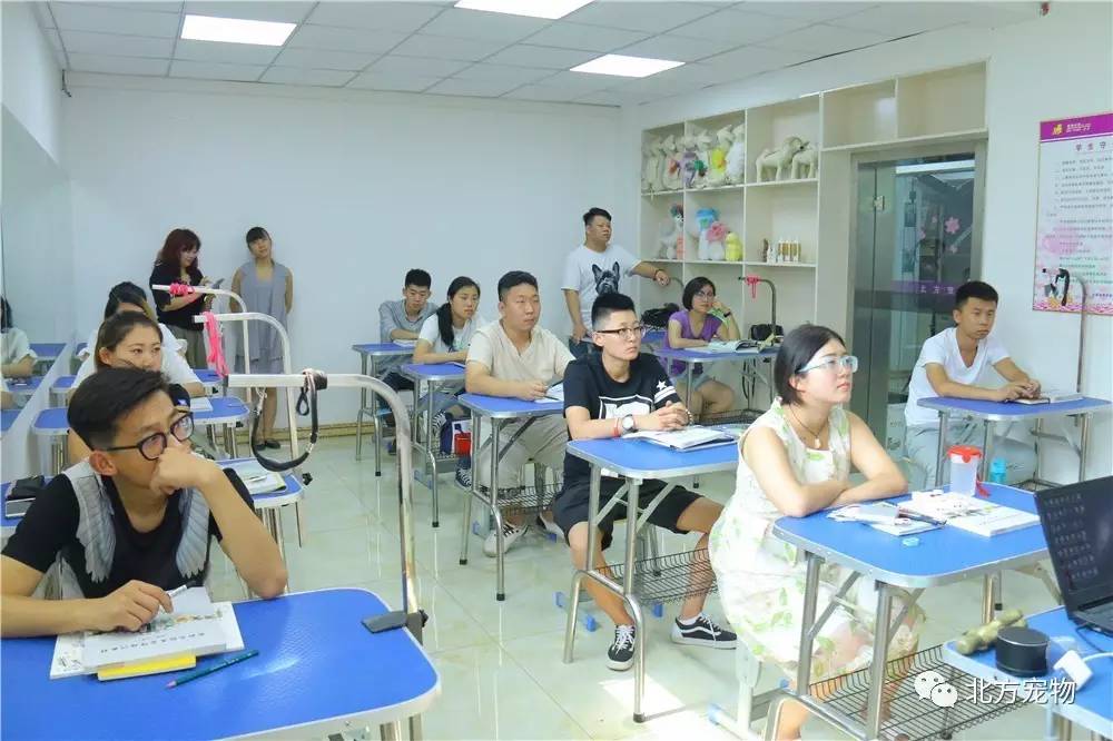 拔擦拔擦永久华人免费