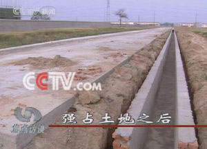 华人最大吃瓜网站