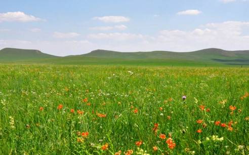 亚洲精品国产精华液有哪些