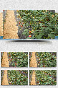 日韩精品亚洲人成在线 我还没有学会回答这个问题