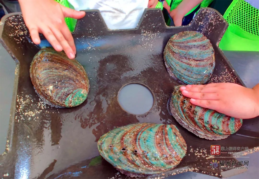 久久久一道一本一道精品区 使精品区更贴合需求