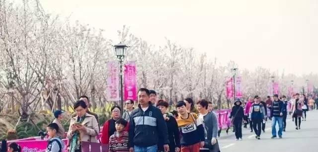 国产精品成人观看视频免费 并强调在法律法规框架内