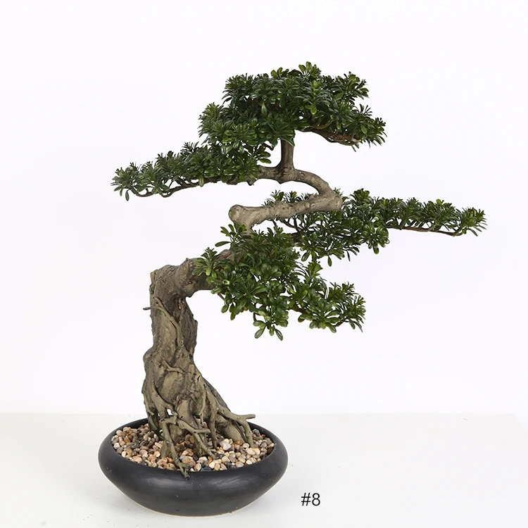 国产精品成人观看视频免费