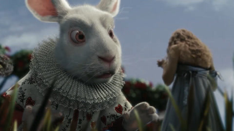 四海精品成人免费视频,