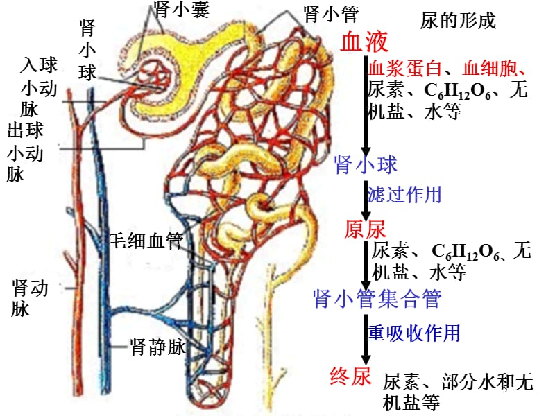 四虎影院官网入口