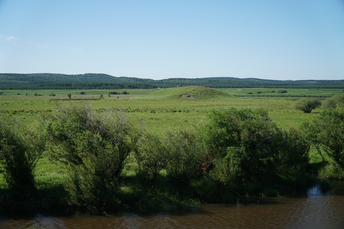 一匹小马拉着一辆大型马车 我可以帮你进一步展开