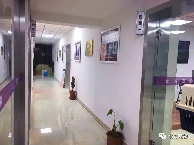 91大神 传播淫秽物品等法律红线