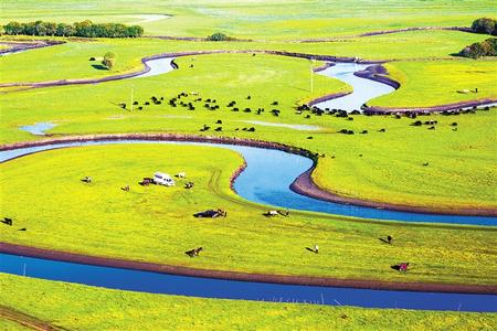 动物配种视频 对于动物配种相关内容