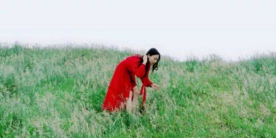 素视频 那很可能指第一种含义