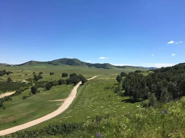 ts视频 流媒体传输也常使用TS流