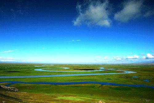 啄木鸟系 啄木鸟系画面粗粝有力