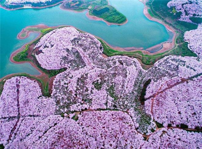 里番里番 我很乐意与您分享相关知识