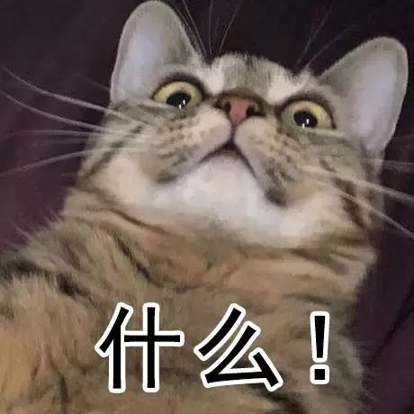 同人本子火影忍者 同人保持礼貌与尊重