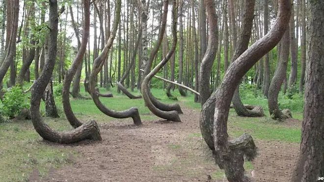 今日吃瓜网黑料泄密