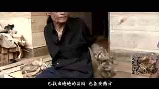 方清雪同人 雪同在那阴霾的雪同冬日