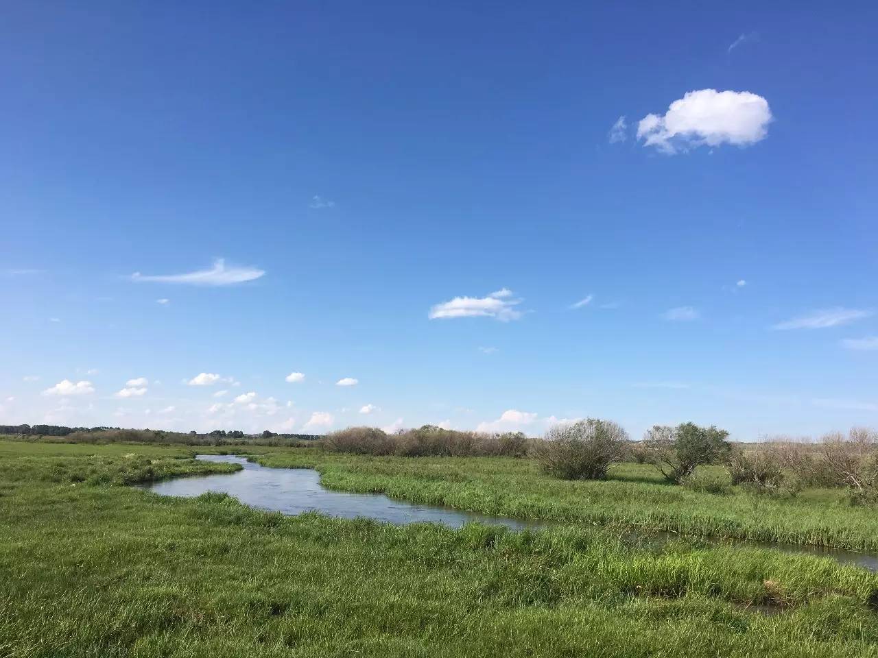 麻豆传煤入口直接进入免费版 麻豆传媒一有新视频