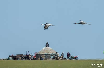 berry.hajienet.cn／ 我很乐意为您提供帮助