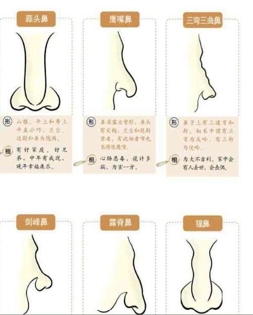 精品伊人久久久大香线蕉