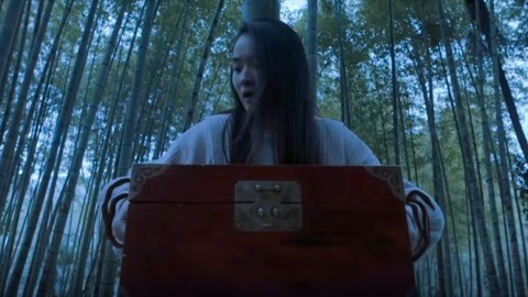 在线观看中文无 节假日或特定活动期间